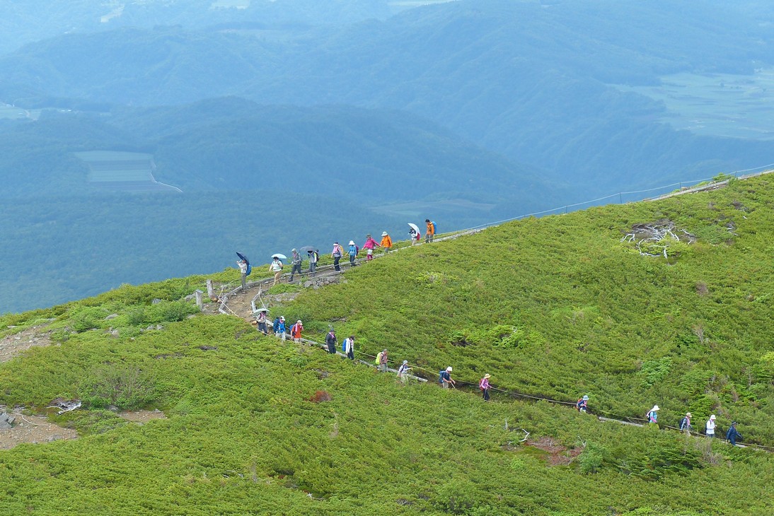 ２０１３年コマクサ紀行（草津本白根山）（３）・・・淡いピンクのコマクサもいいな♪_a0031821_20225755.jpg