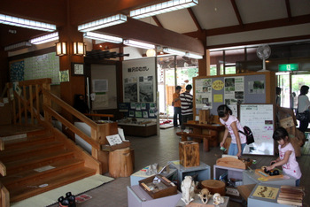 f0225521_7095.jpg
