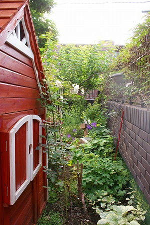 f0170524_7501364.jpg