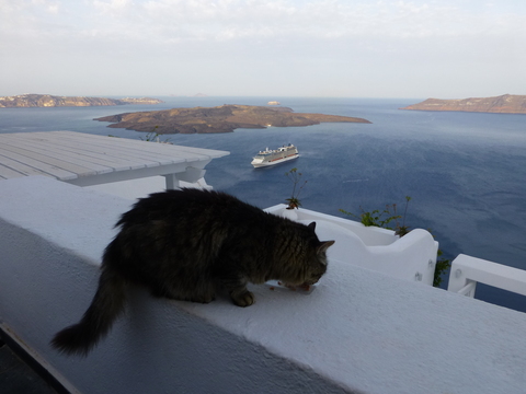 ギリシャ サントリーニ島2日目-1_e0237625_1726446.jpg