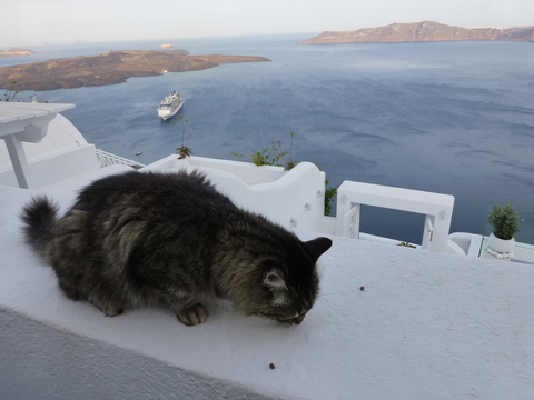 ギリシャ サントリーニ島2日目-1_e0237625_17411122.jpg