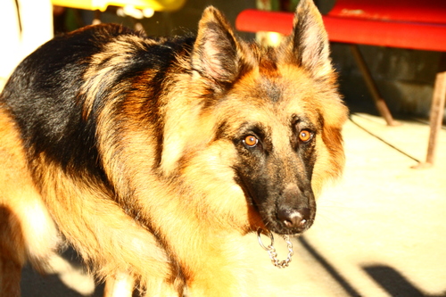 d0158028_20093.jpg