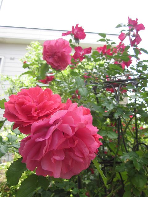 c0234938_10234941.jpg