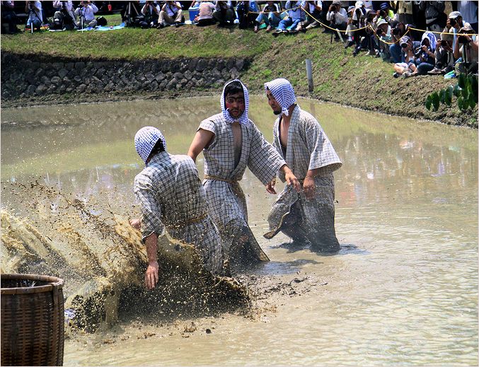 西予市城川町のどろんこ祭り　②_a0256349_15482966.jpg