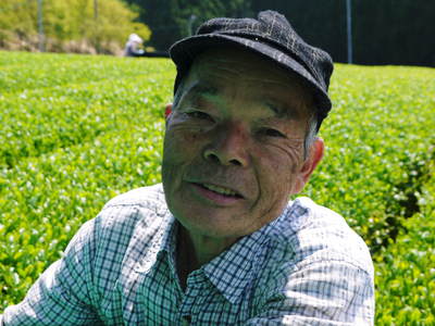 菊池水源茶 平成25年度新茶!好評発売中!!_a0254656_17193958.jpg