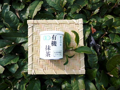 菊池水源茶　平成25年度新茶！好評発売中!!_a0254656_17413872.jpg