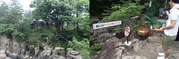 a0083760_13204530.jpg