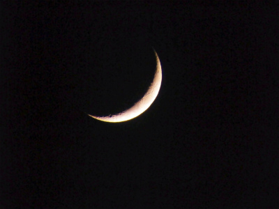 c0180460_1123533.jpg