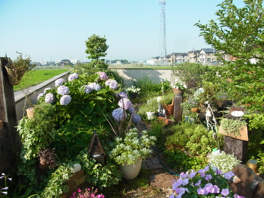 b0194267_1725019.jpg