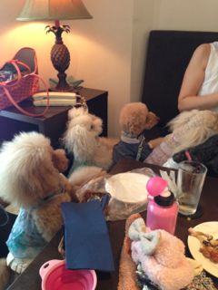 2013.7.8 お誕生会_a0083571_702035.jpg