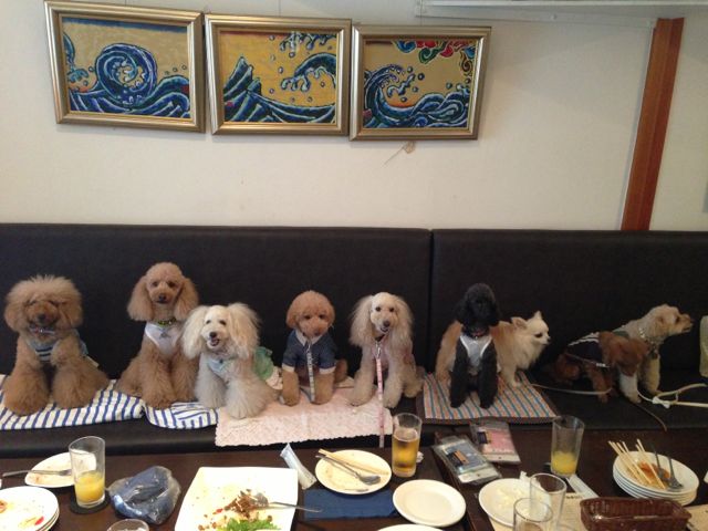 2013.7.8 お誕生会_a0083571_7234.jpg