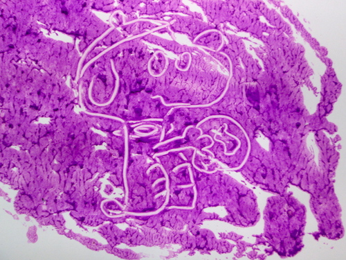 e0167771_94482.jpg