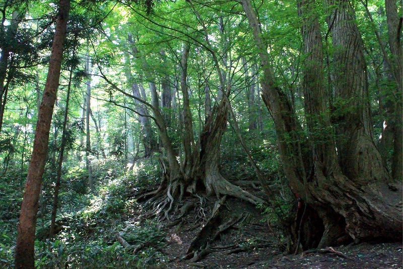 e0213873_1647721.jpg