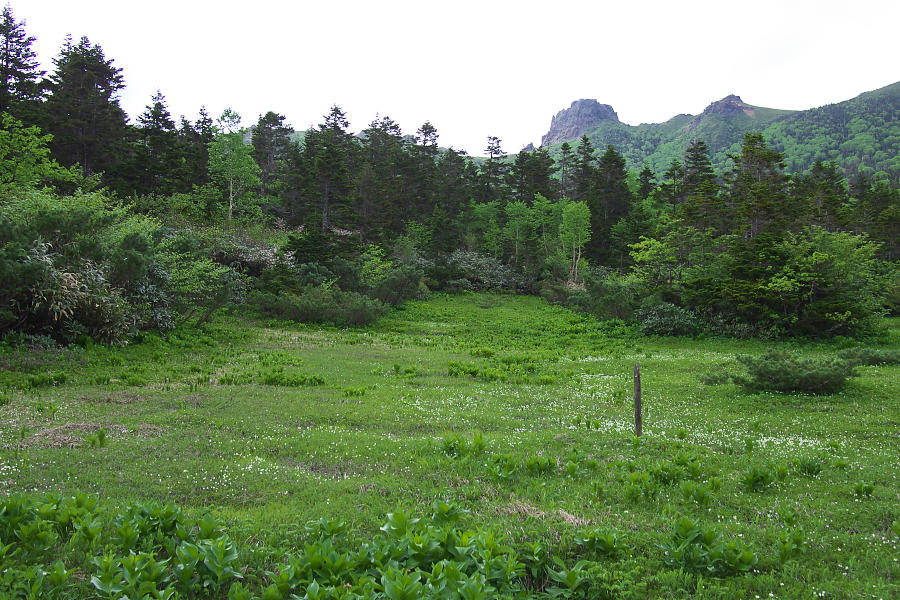 岩手山登山 その4_e0282173_22313457.jpg