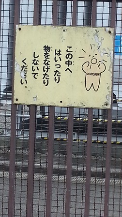 中部電力のマスコットキャラ ウンノ接骨院 ウンノ整体 と静岡の夜