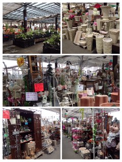 花市場 なばなの里 小さな しあわせ見 つけた 花市場 なばなの里 小さな しあわせ見 つけた
