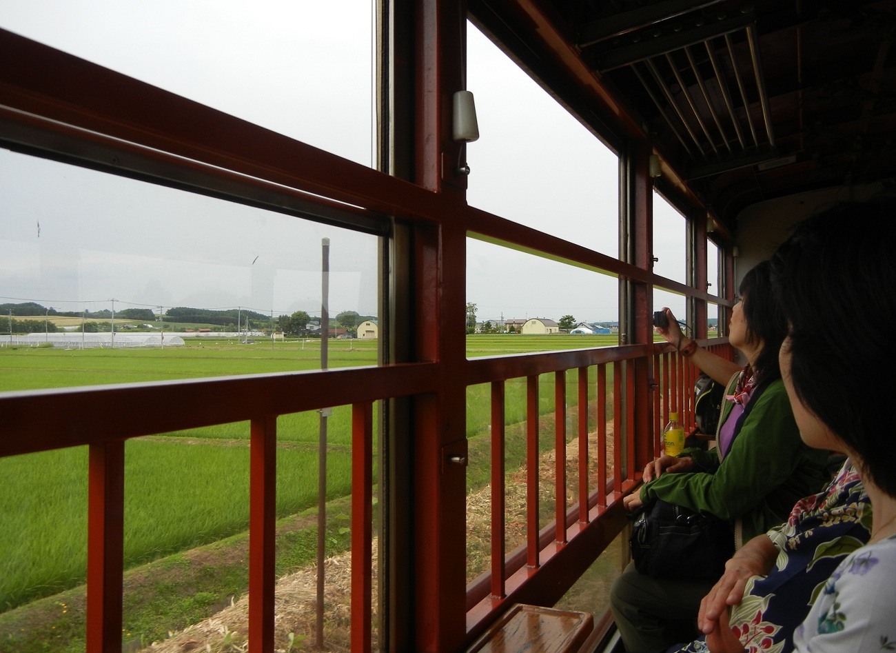 続・北海道の旅③富良野線など（2013.7.5）_e0320083_19142796.jpg