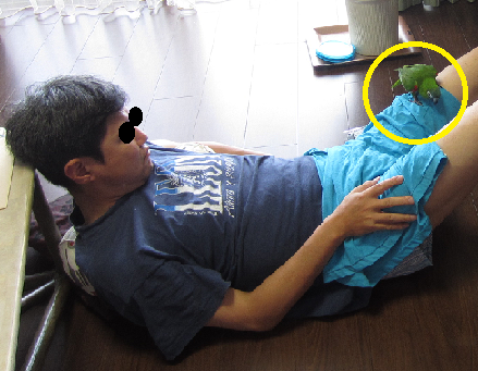 f0234590_8205111.png