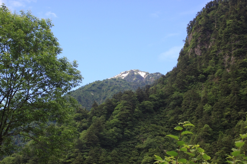 b0138798_11284538.jpg