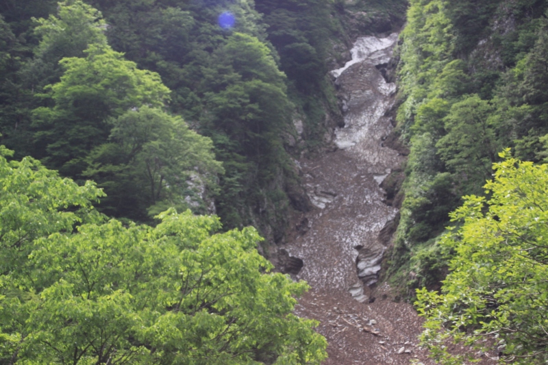 b0138798_11314118.jpg