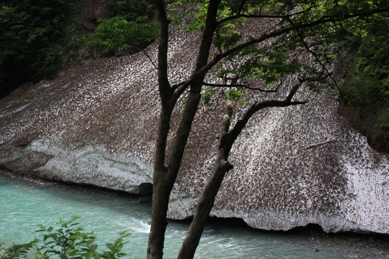 b0138798_11322565.jpg