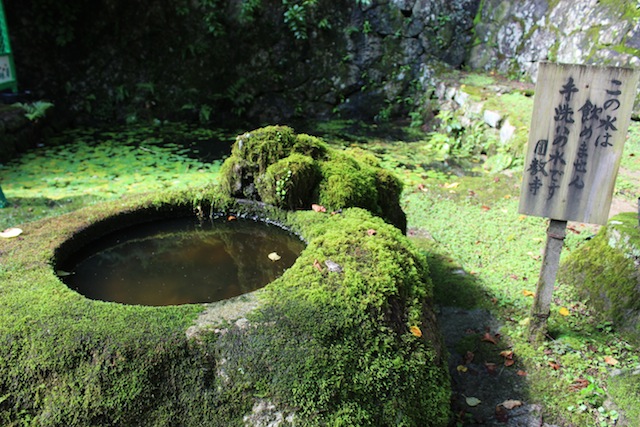 姫路城が見られない今こそ、書写山圓教寺！（後編）_c0306400_029089.jpg