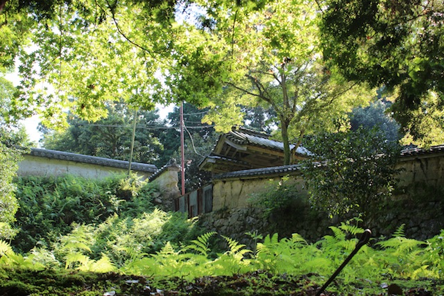 姫路城が見られない今こそ、書写山圓教寺！（後編）_c0306400_0441625.jpg