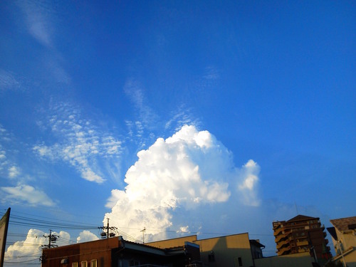 a0271502_12561629.jpg