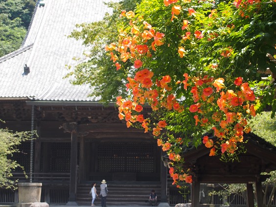 e0245404_073063.jpg