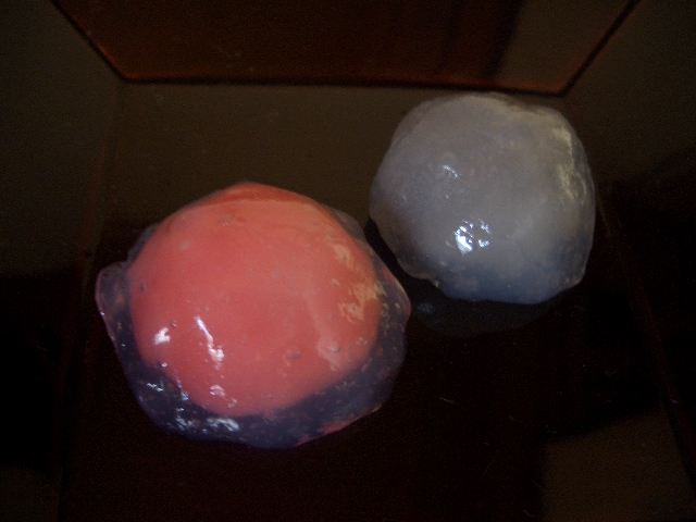 星合\'13_a0056406_16113711.jpg