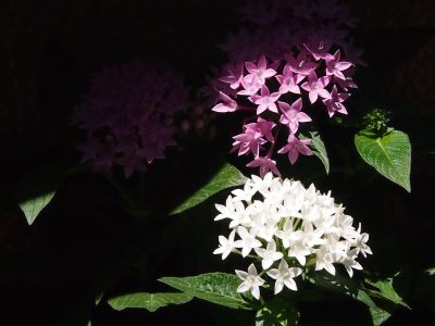 c0156908_0212548.jpg