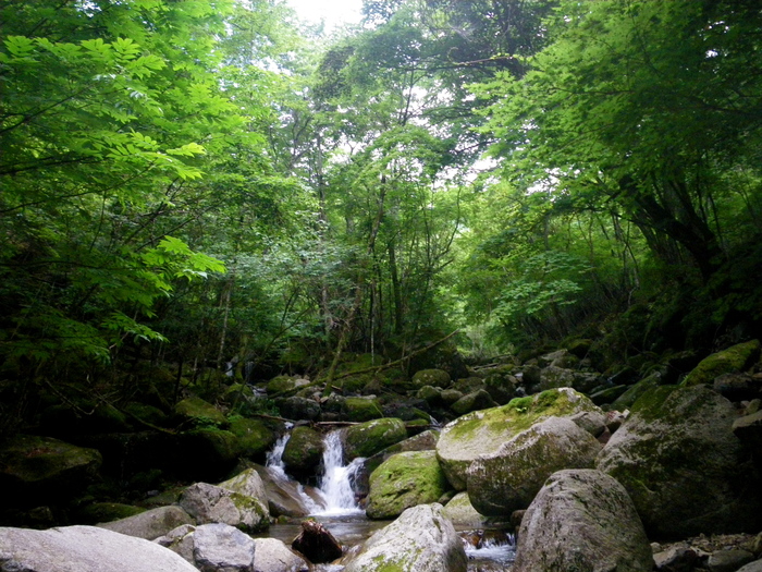 梅雨明け、夏本番。_d0139909_22575235.jpg