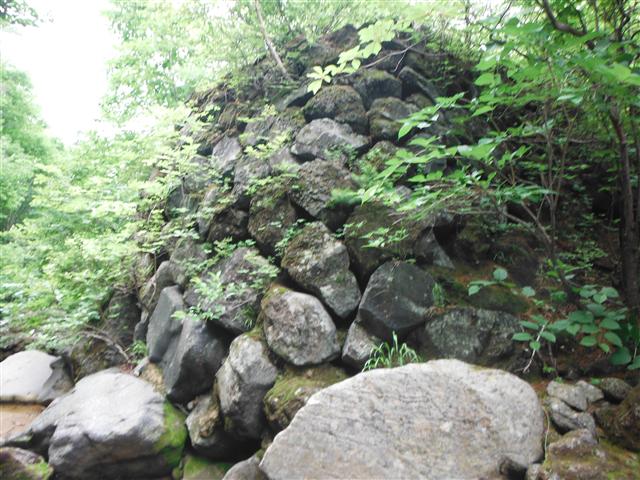 a0127015_6444327.jpg