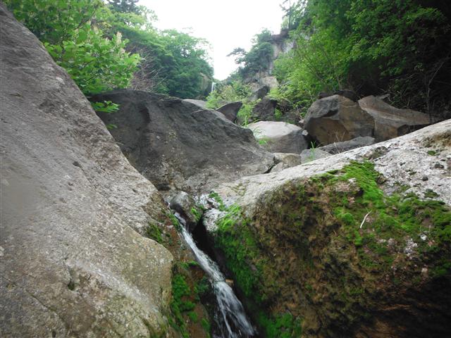a0127015_6481845.jpg