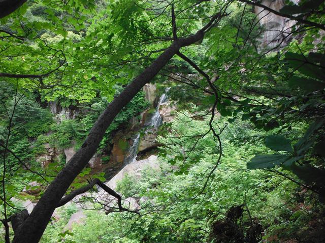 a0127015_649529.jpg