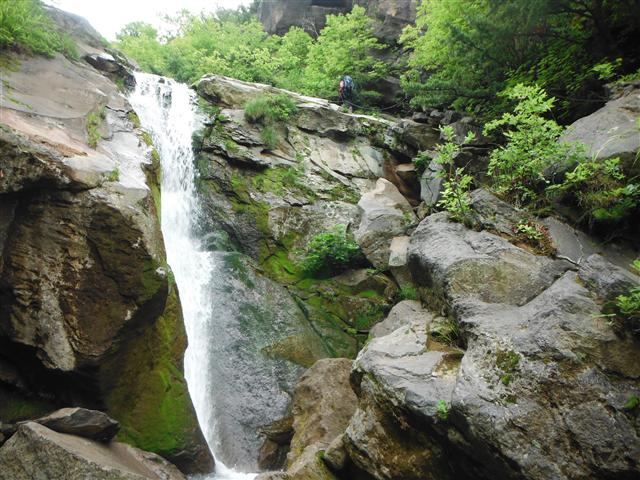 a0127015_650324.jpg