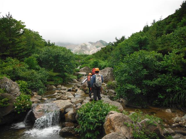 a0127015_712416.jpg