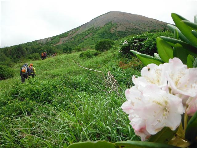 a0127015_744138.jpg