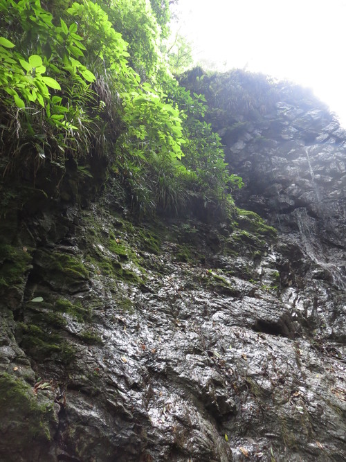 b0121015_13505643.jpg