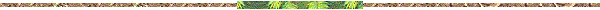 b0289815_914586.gif