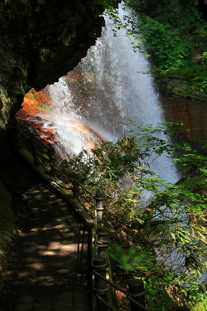 e0242721_837333.jpg