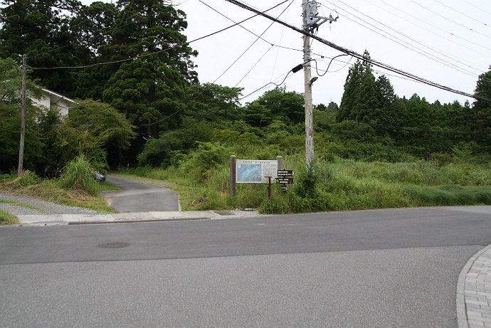 曇天の芦ノ湖西側稜線歩き　その２_c0196928_21272063.jpg