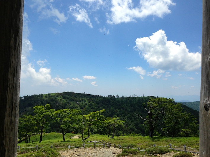 吉野熊野国立公園 東大台-1_a0224329_2227282.jpg