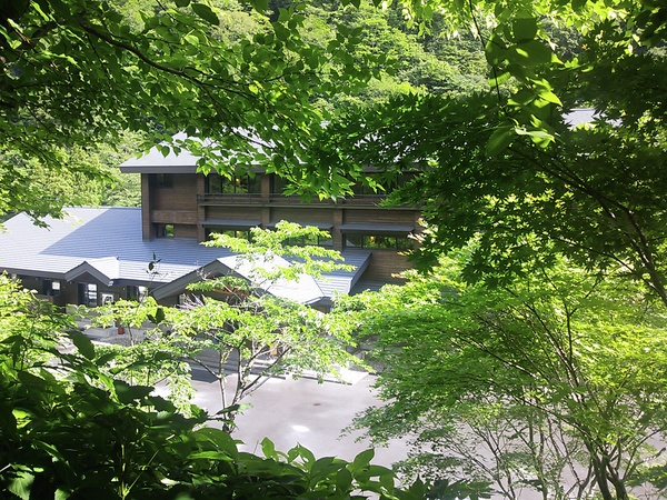 ミヤマクワガタ!_c0213830_12541279.jpg