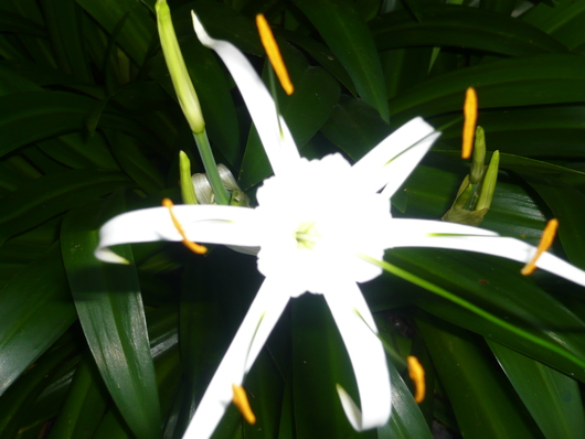 a0206332_8493513.jpg