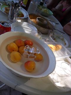 e0120938_185313100.jpg