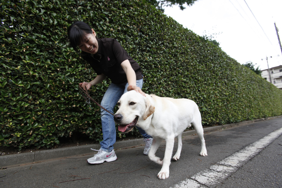【クリアファイル 2枚組 (D)】「訓練には犬を愛おしむ心を」_d0323943_171110.jpg