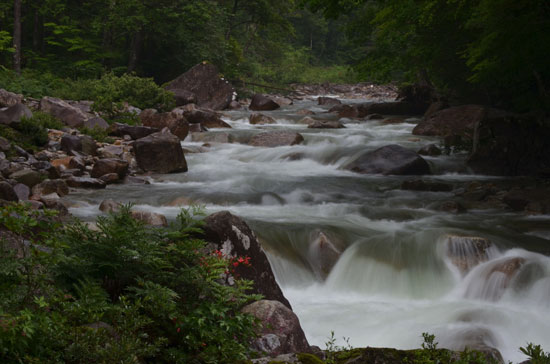 c0093046_5593649.jpg