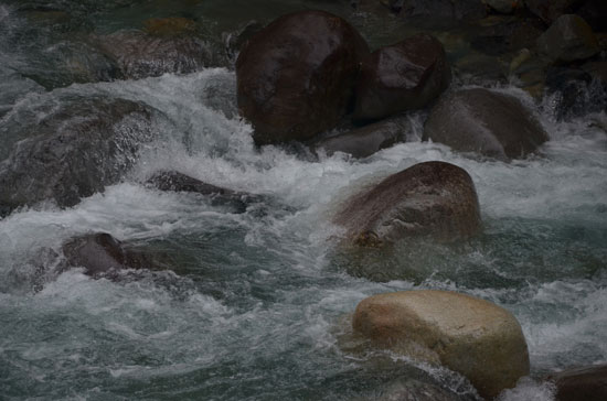 c0093046_5595584.jpg