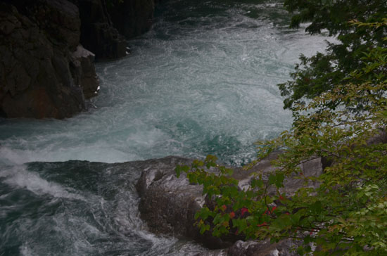 c0093046_60995.jpg